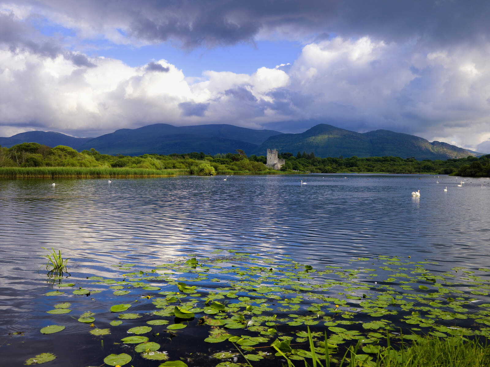 Visit Ross Castle, one of the top things to do in Killarney, Ireland and a major tourist attraction.